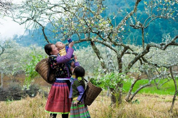 mai chau 5 mai chau 5