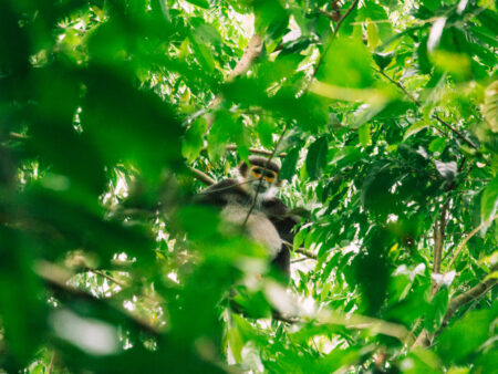 CAT TIEN NATIONAL PARK TOUR