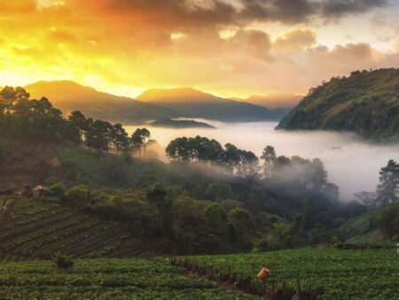 HIDDEN CHARM OF THAILAND