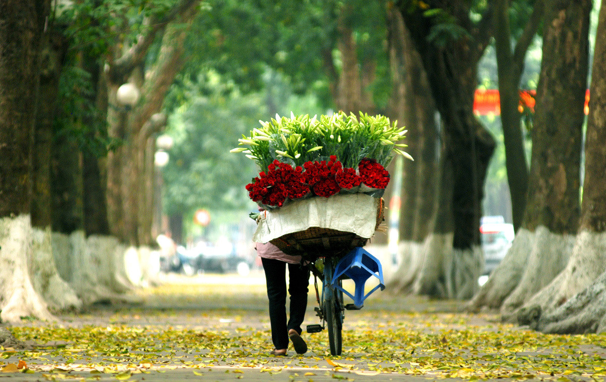 ha noi mua thu transviet01