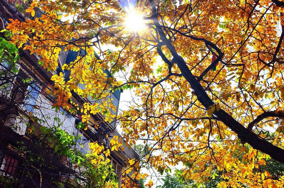 CNN VOTED HANOI AS ONE OF THE WORLD’S MOST ATTRACTIVE DESTINATIONS IN THE FALL OF 2022