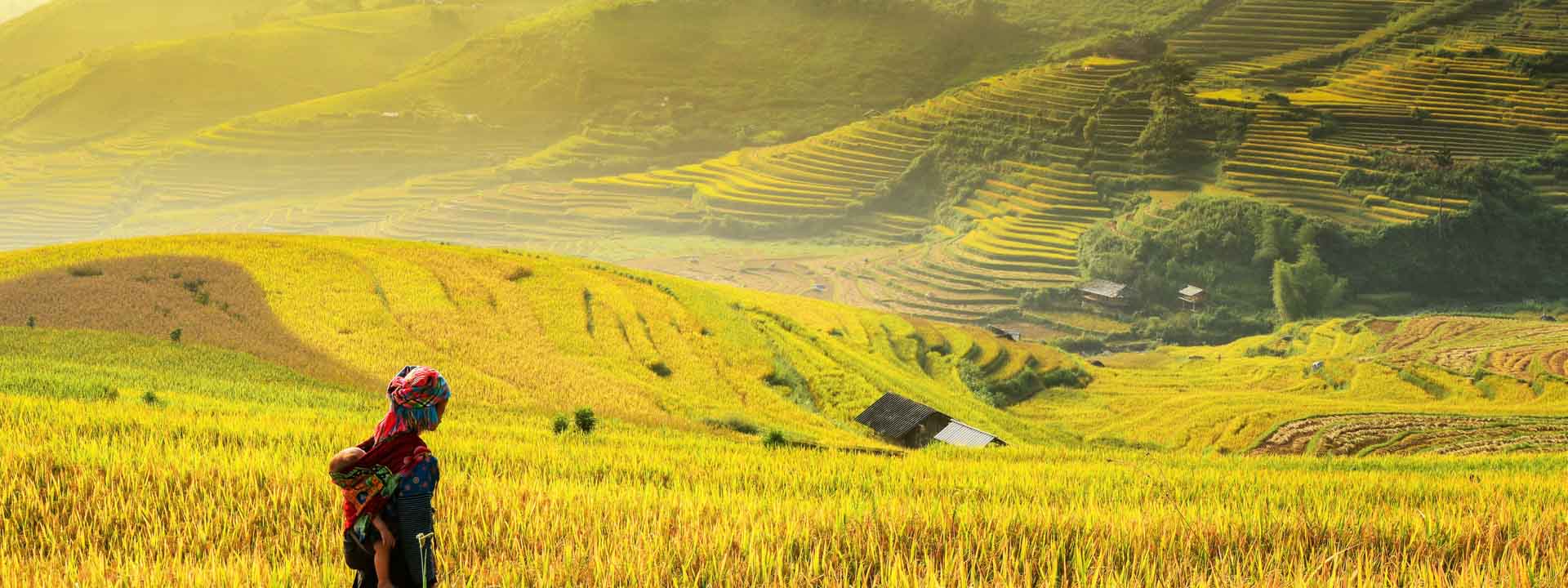 10 AMAZING FACTS ABOUT VIETNAM YOU MAY NOT KNOW